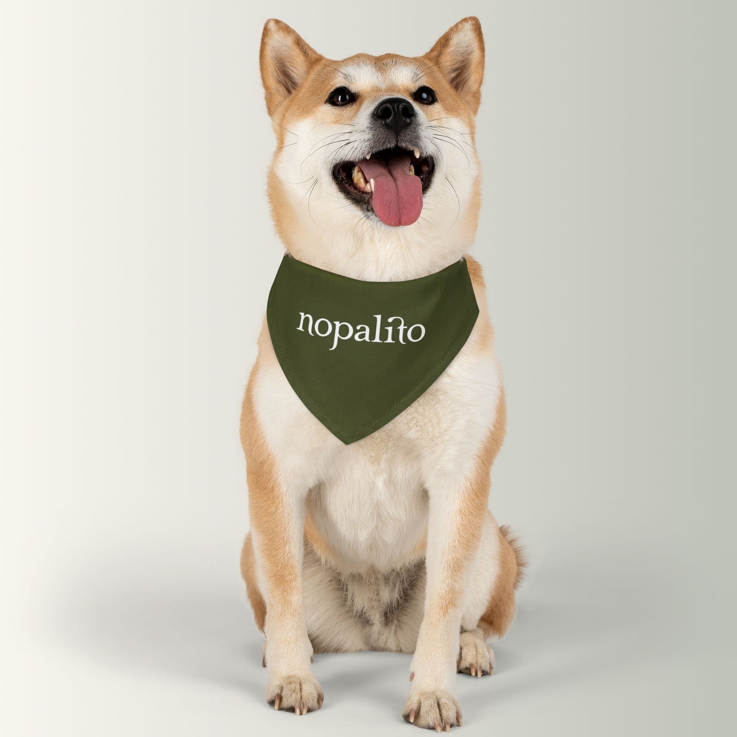 Nopalito Pet Bandana Collar