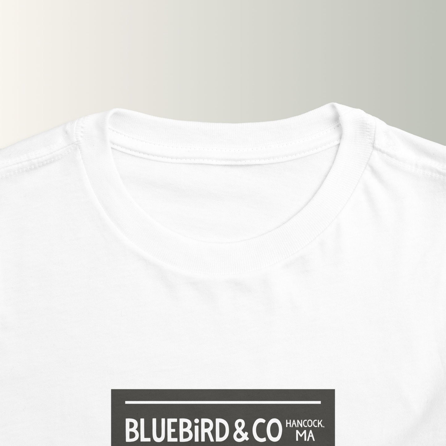 Bluebird & Co Toddler Tee (Mountain)