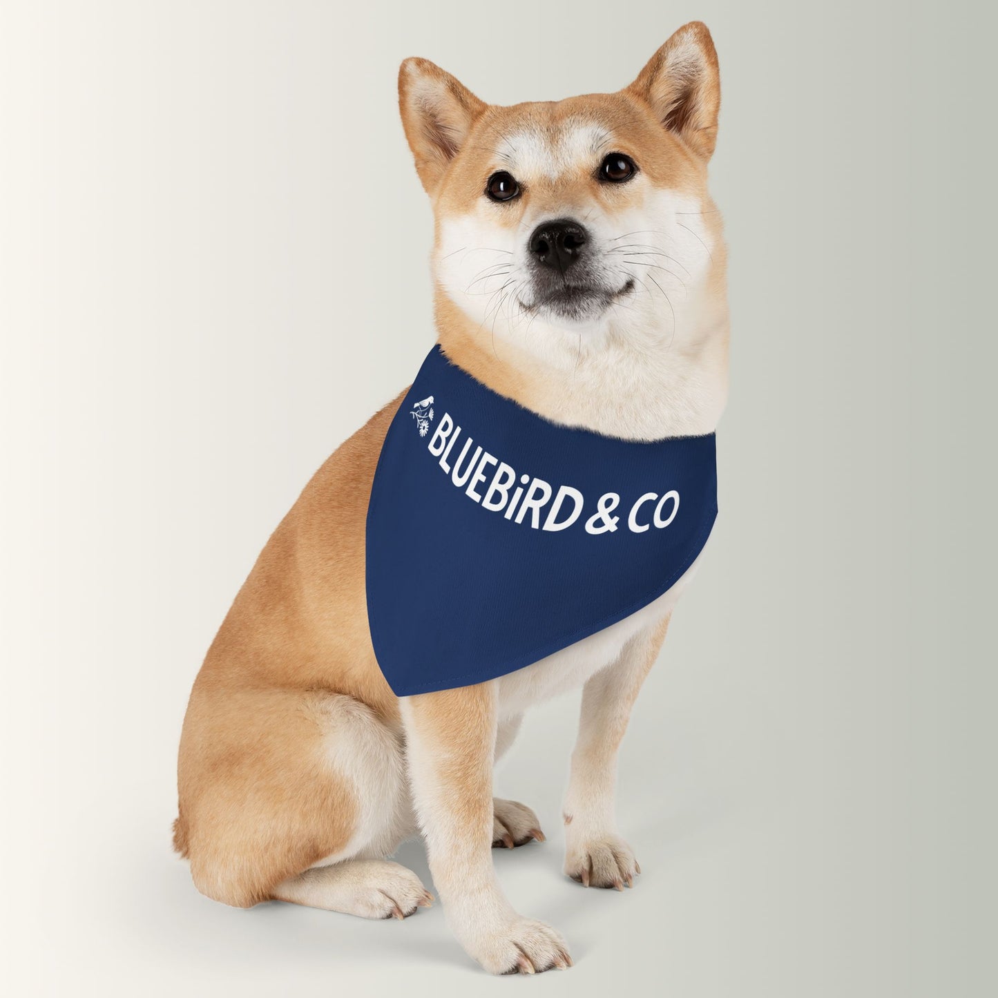 Bluebird & Co Pet Bandana Collar
