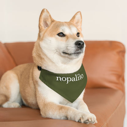 Nopalito Pet Bandana Collar