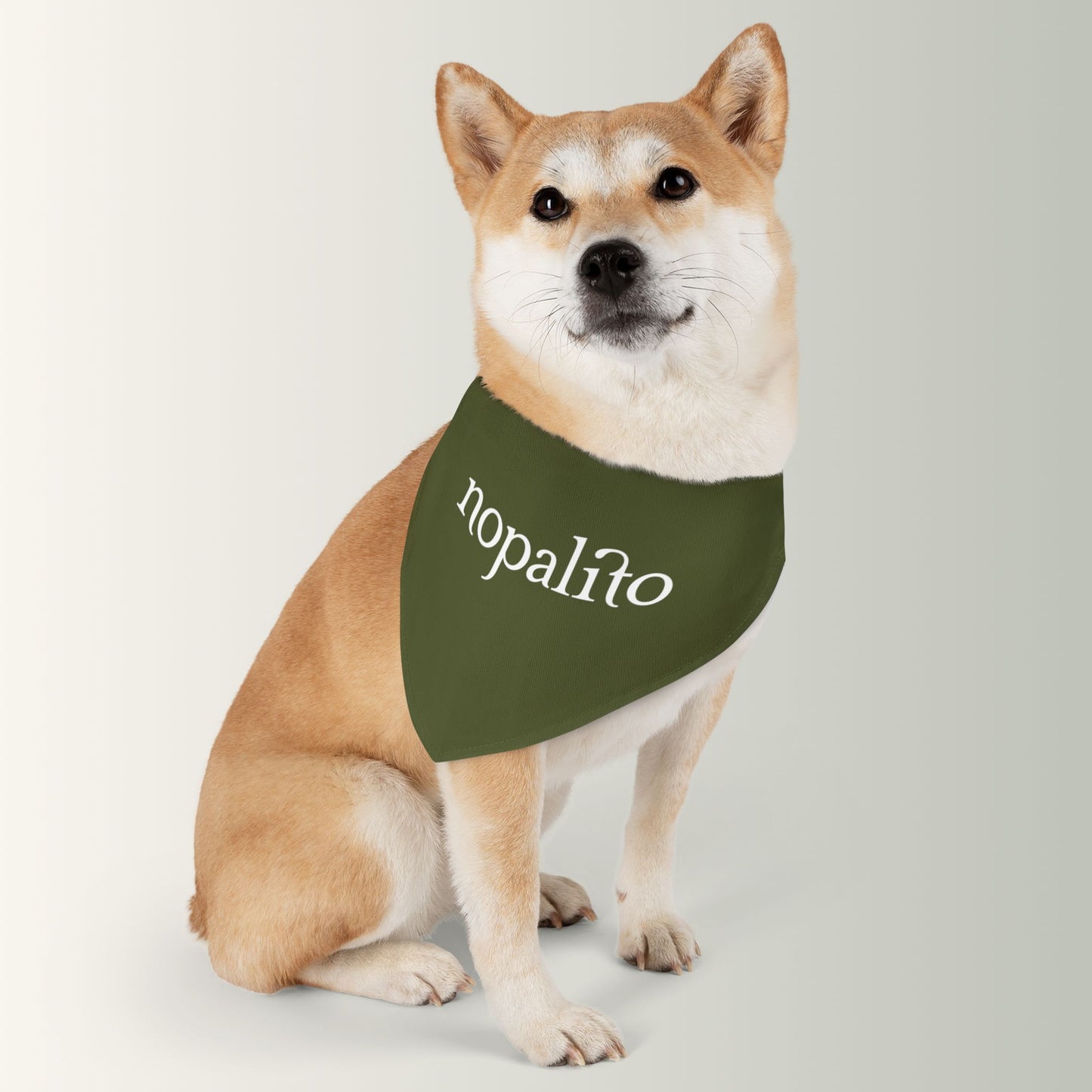 Nopalito Pet Bandana Collar