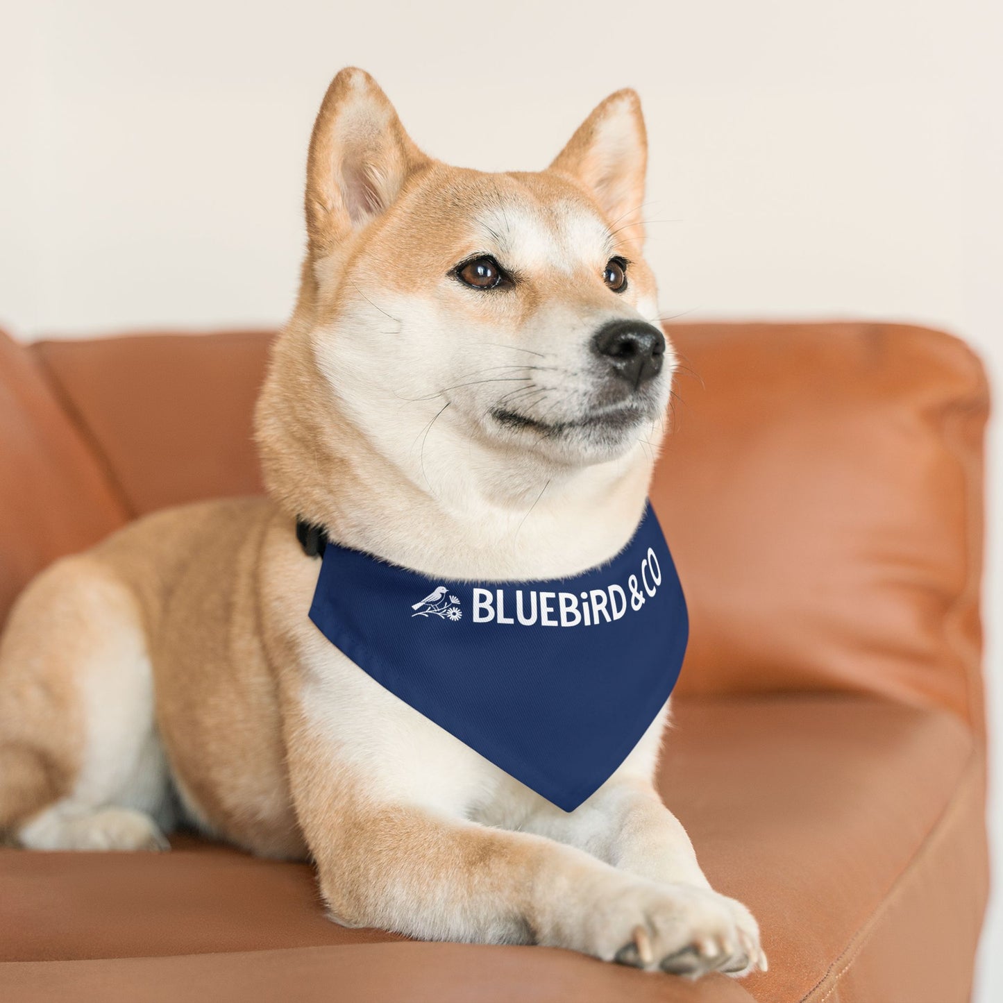 Bluebird & Co Pet Bandana Collar