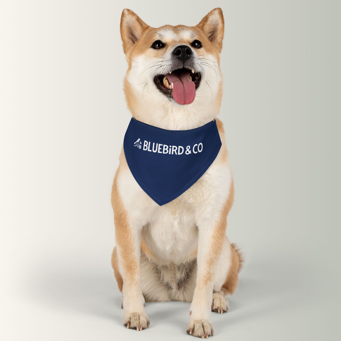 Bluebird & Co Pet Bandana Collar