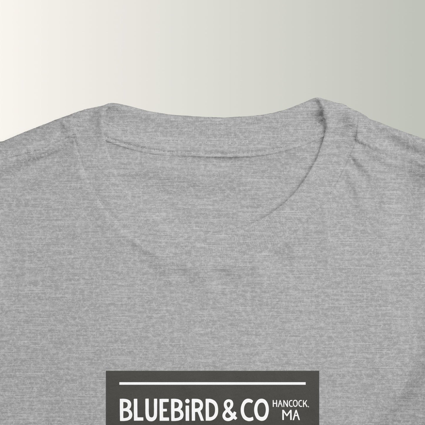 Bluebird & Co Toddler Tee (Mountain)