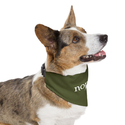 Nopalito Pet Bandana Collar