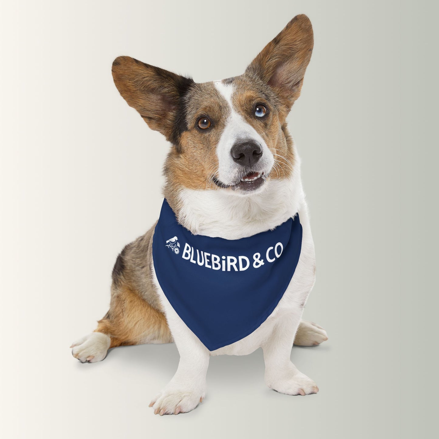 Bluebird & Co Pet Bandana Collar